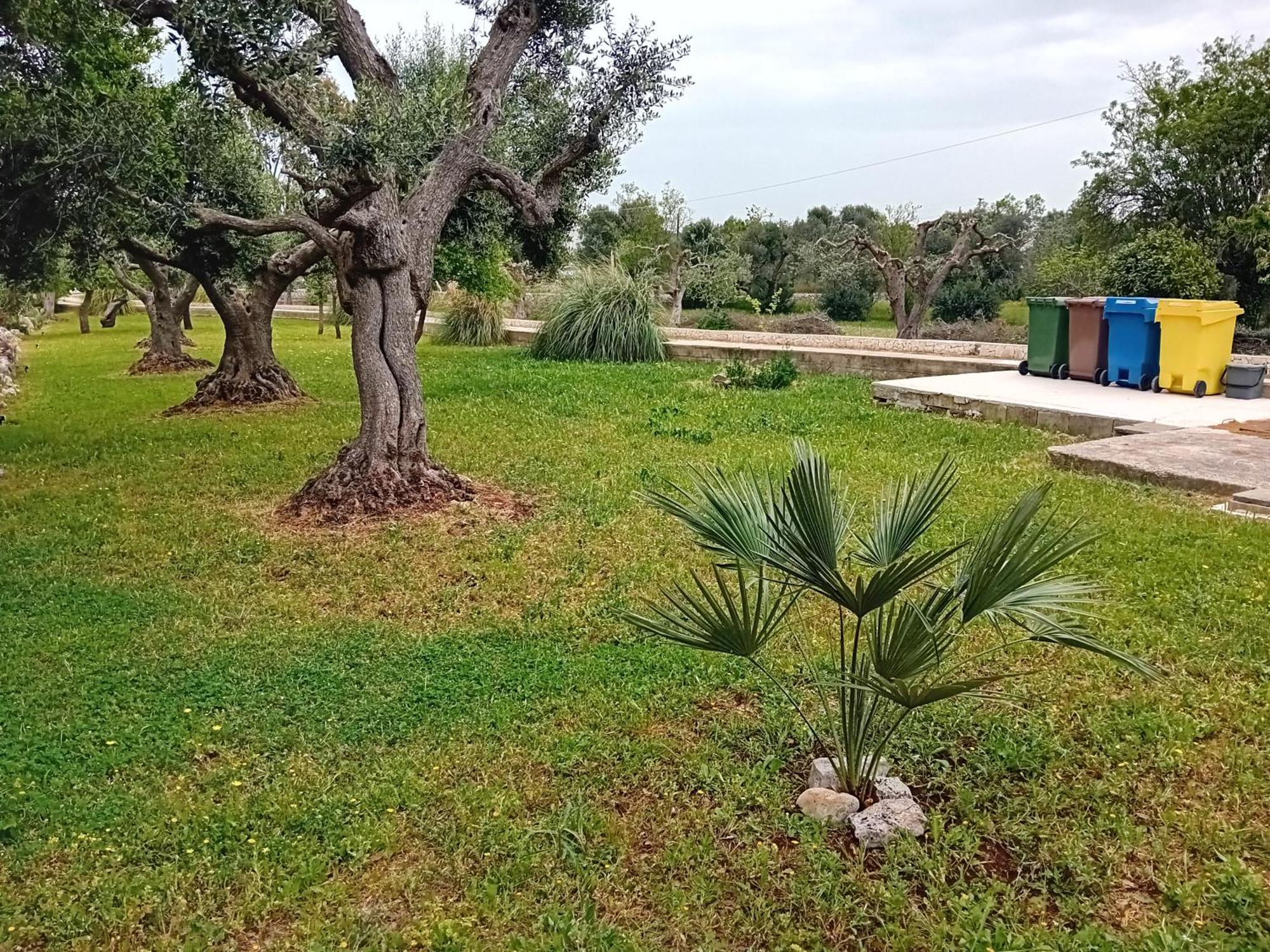Villa Il Leccio - Trulli Cisternino Bagian luar foto