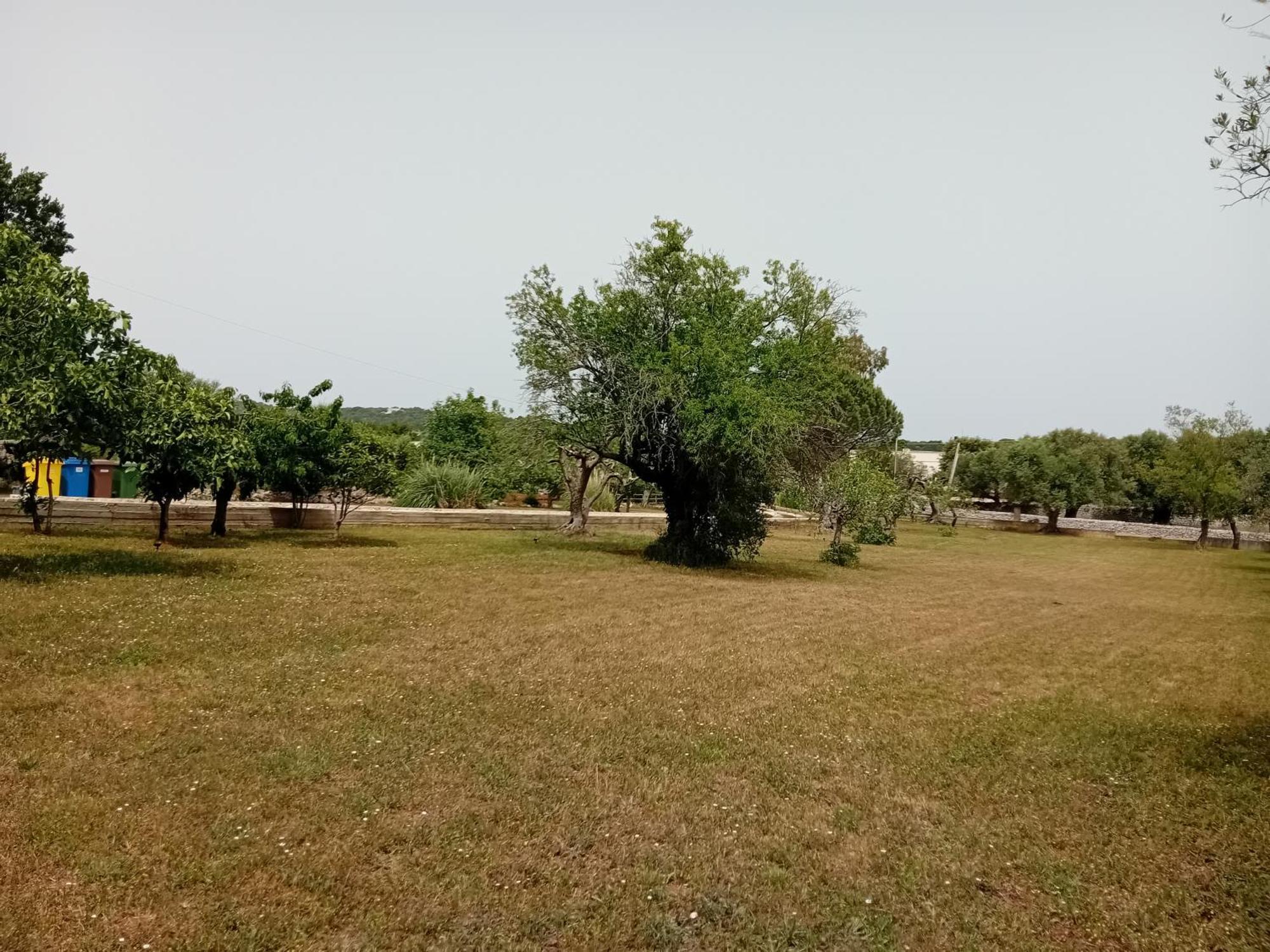 Villa Il Leccio - Trulli Cisternino Bagian luar foto