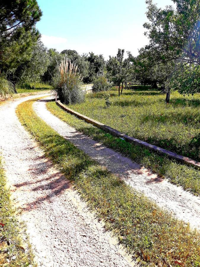 Villa Il Leccio - Trulli Cisternino Bagian luar foto